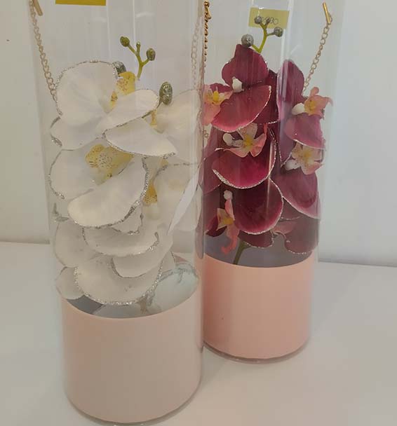 Gyönyörű, elegáns orchideák